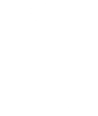 Fenix Logo